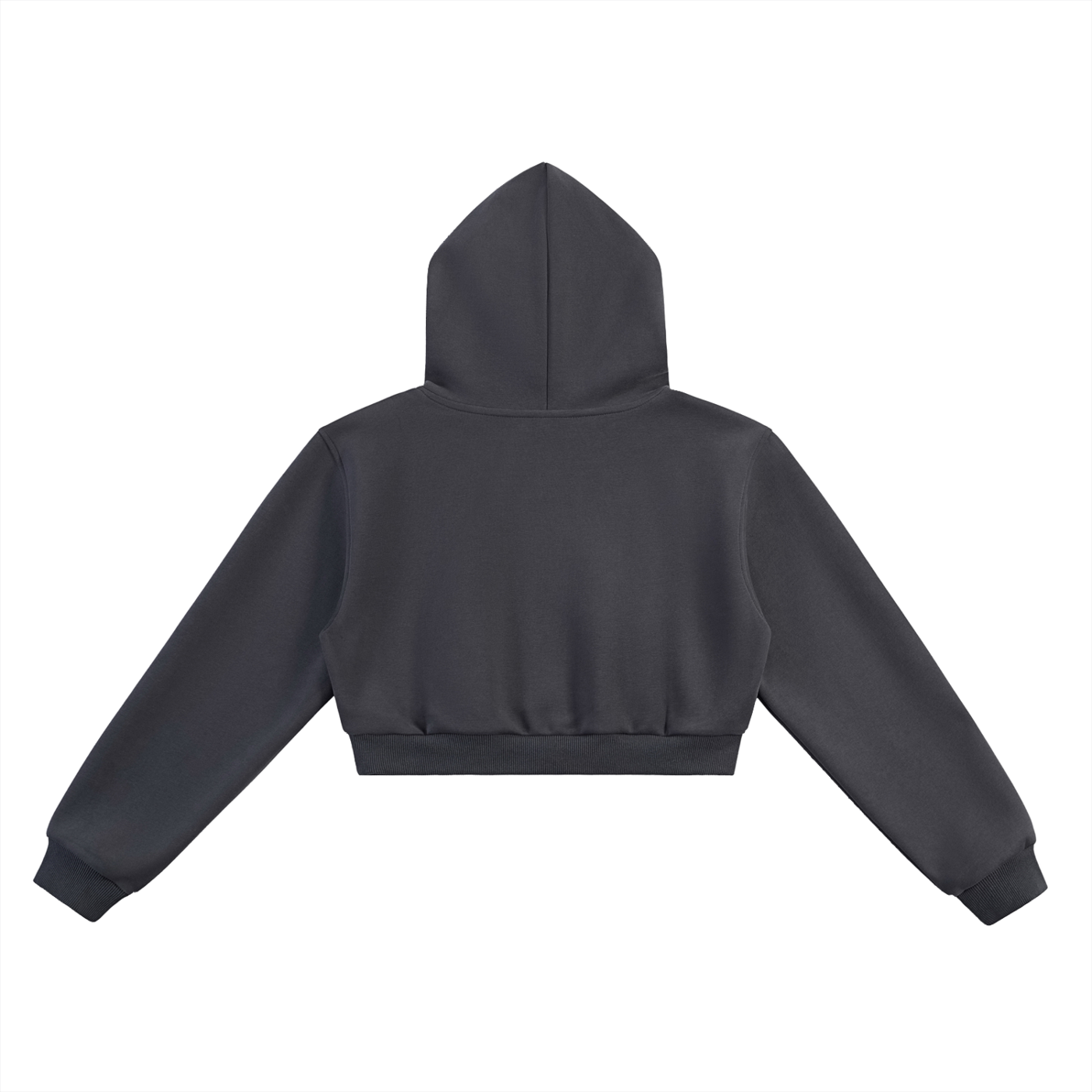 Padelism Wellness Club Cropped Hoodie - Charcoal Gray
